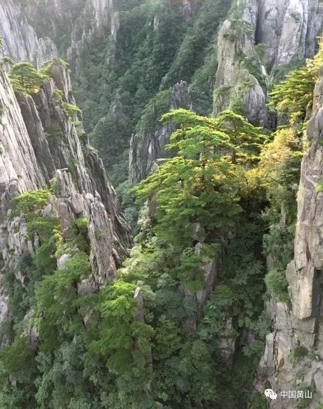 逃离空旷大街